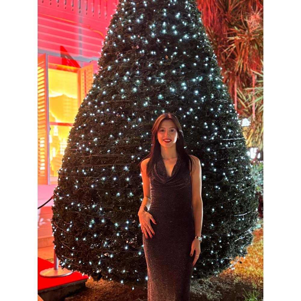 Işıltılı Sırt Dekolteli Davet Elbisesi