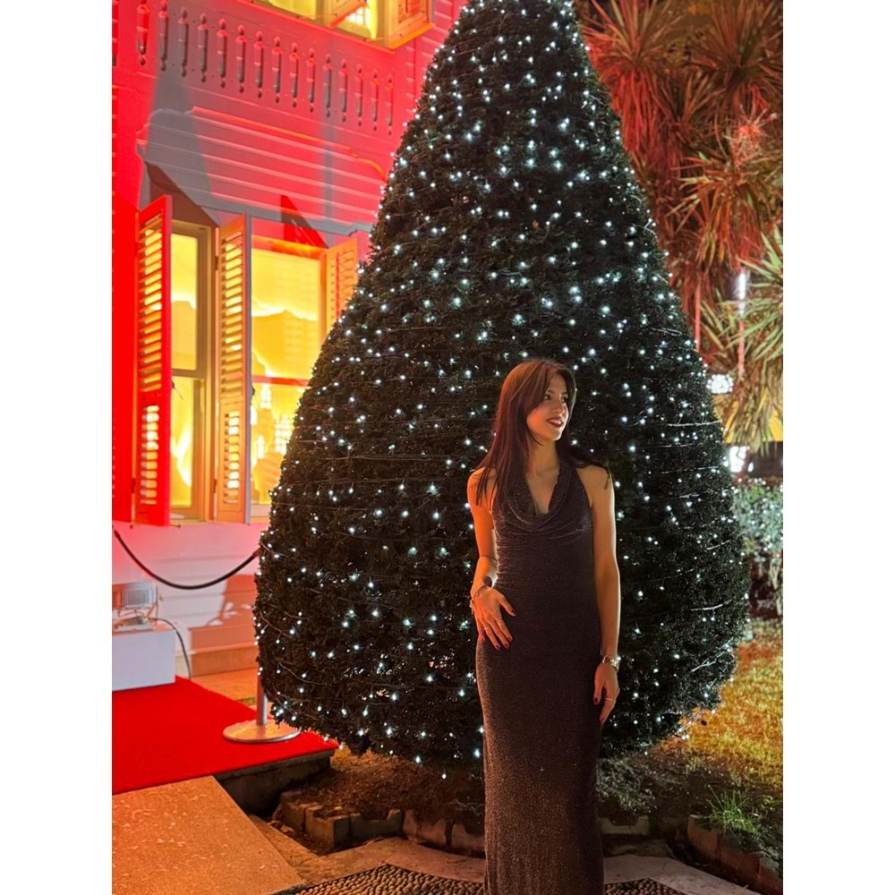 Işıltılı Sırt Dekolteli Davet Elbisesi